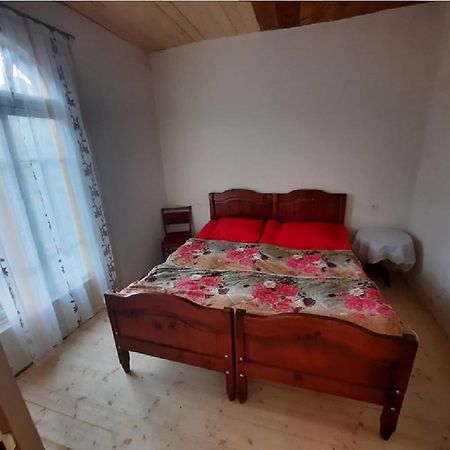 Nino & Tarzan Guesthouse Адиши Экстерьер фото